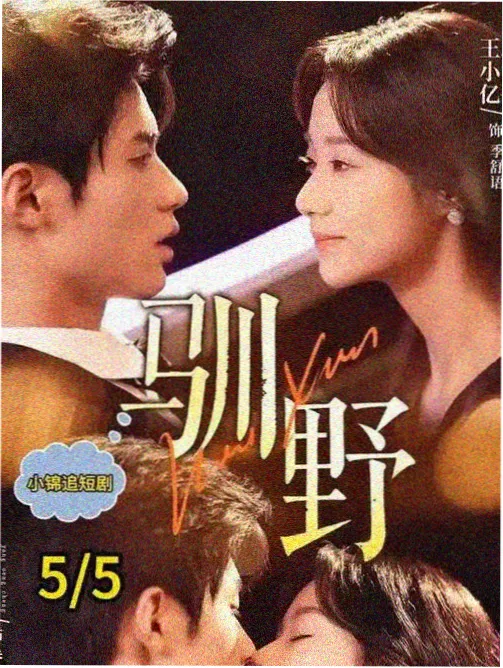 雾港谜案 犯罪推理剧在线
